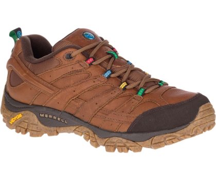Buty Trekkingowe Merrell Moab 2 Earth Day Męskie Ciemny Brązowe | 36115M-2HD